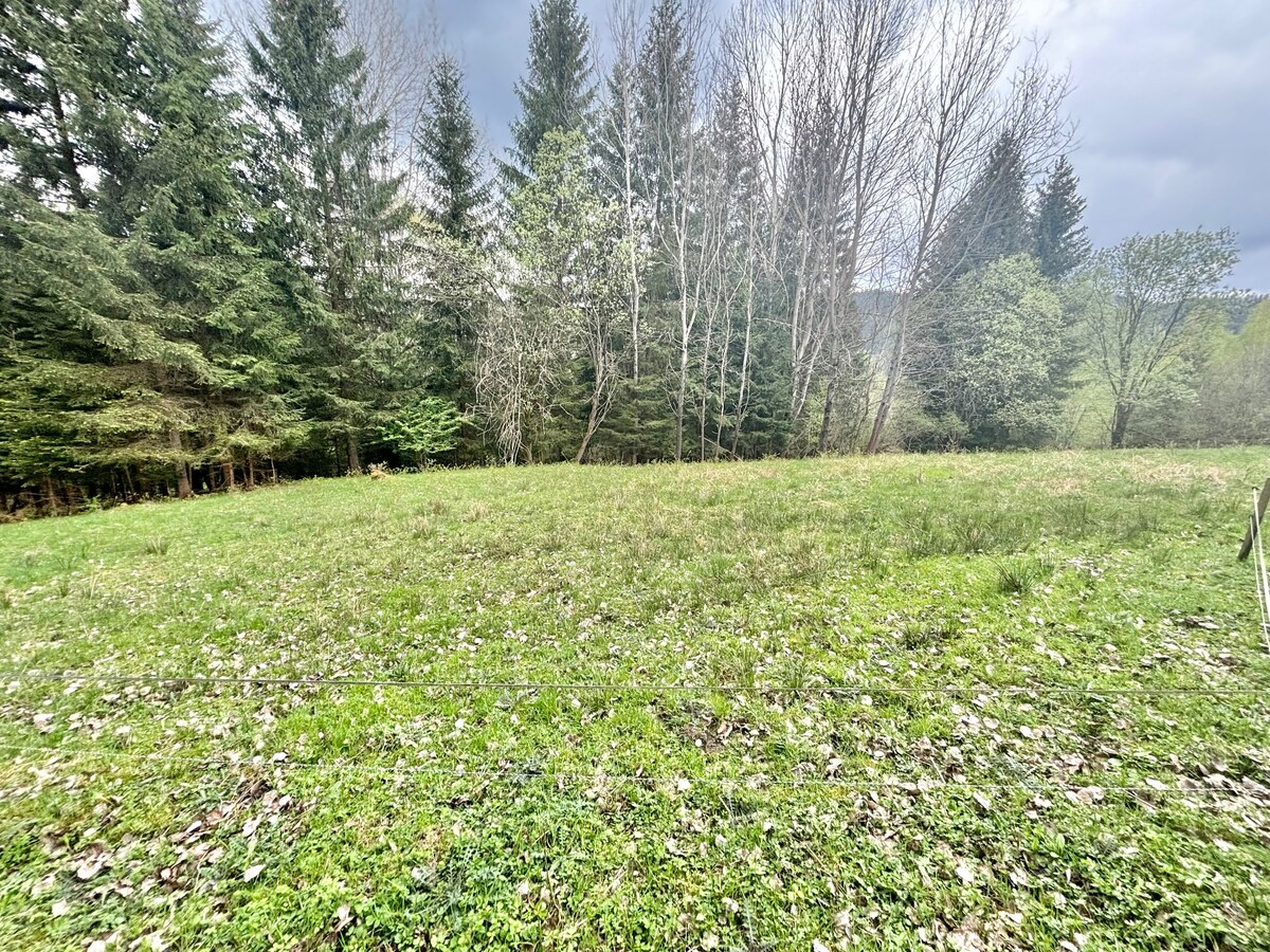 Predaj krásneho pozemku  v jedinečnej prírode v obci Korňa — foto 4