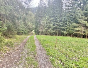 Predaj krásneho pozemku  v jedinečnej prírode v obci Korňa — foto 3