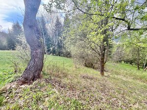 Predaj krásneho pozemku  v jedinečnej prírode v obci Korňa — foto 6