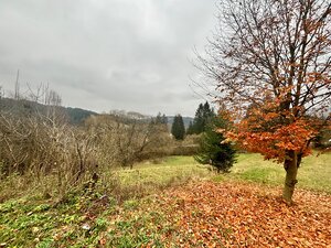 Predaj pozemku v pokojnej lokalite obce Olešná — foto 3