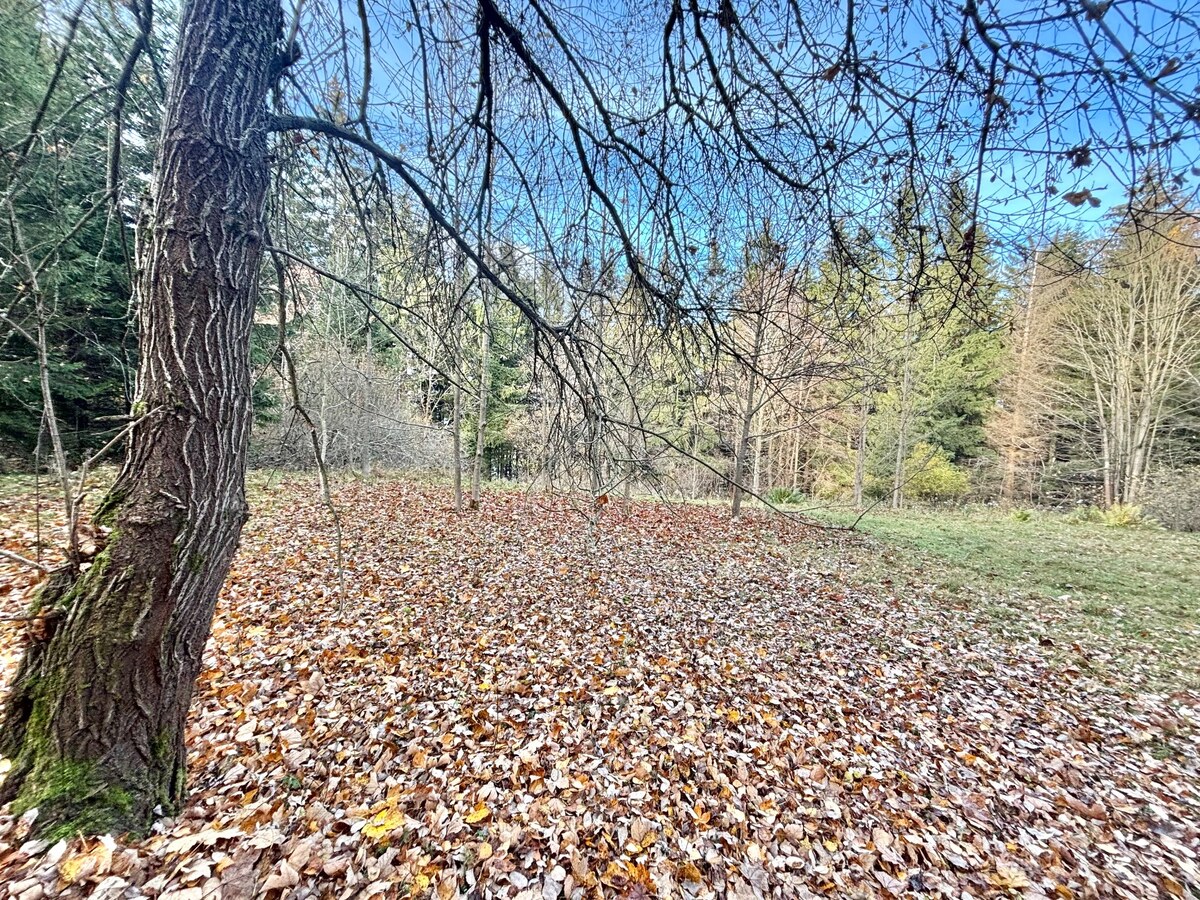 Predaj rekreačného pozemku v Klokočove — foto 2