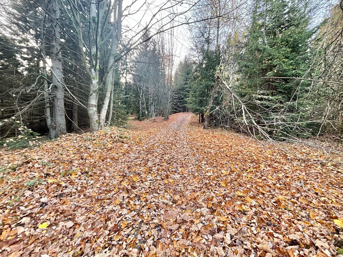 Predaj rekreačného pozemku v Klokočove — foto 6