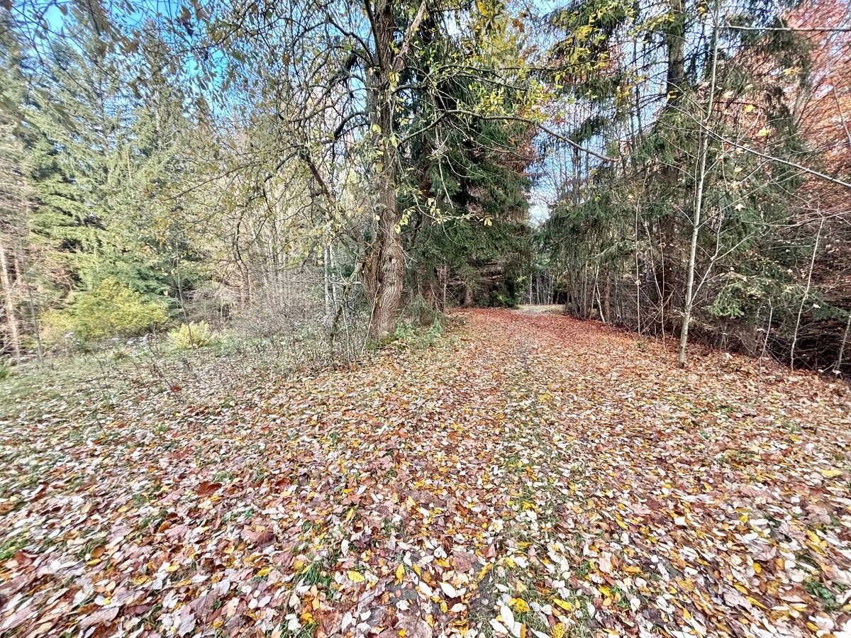 Predaj rekreačného pozemku v Klokočove — foto 7