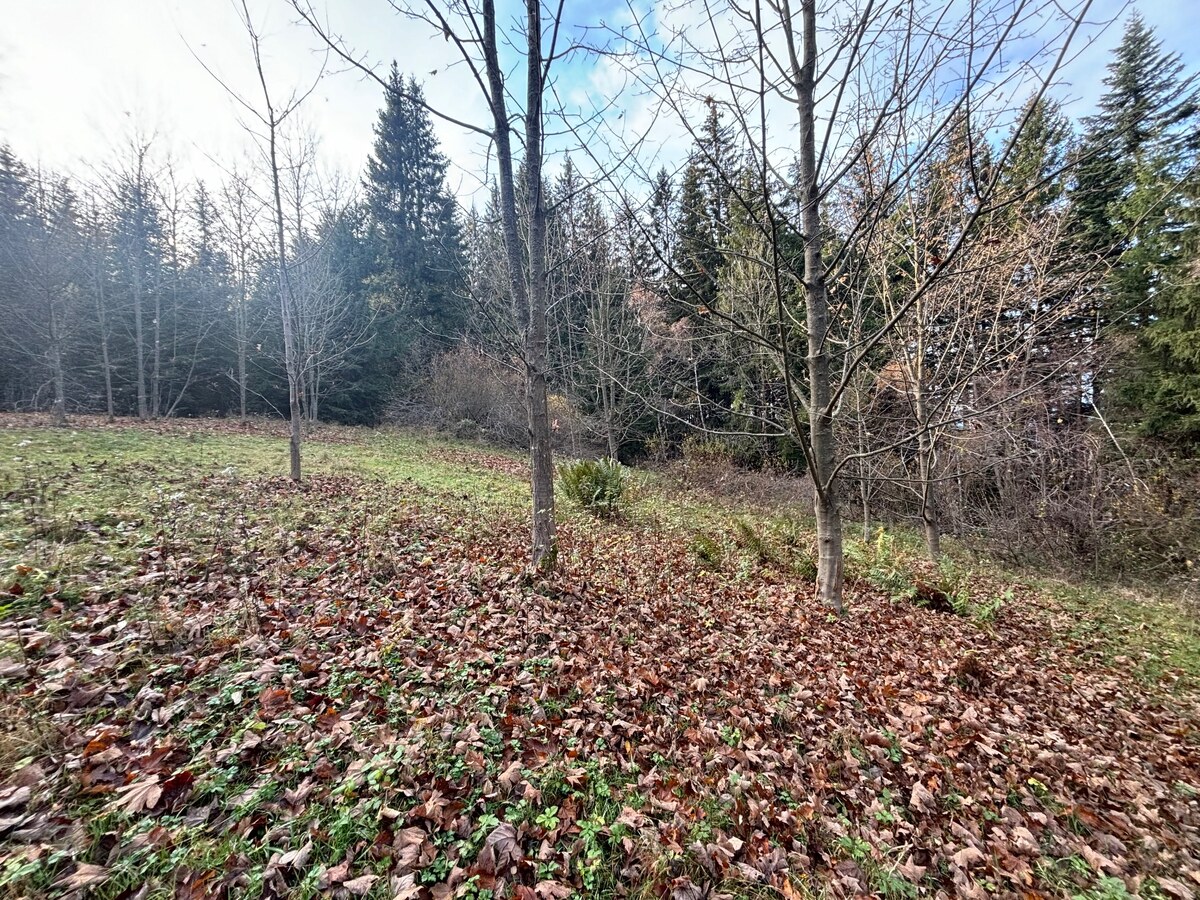 Predaj rekreačného pozemku v Klokočove — foto 9