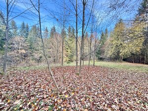 Predaj rekreačného pozemku v Klokočove — foto 5