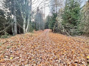 Predaj rekreačného pozemku v Klokočove — foto 6