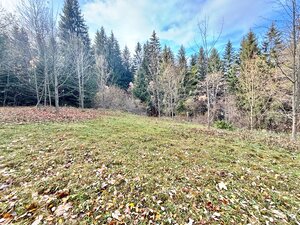 Predaj rekreačného pozemku v Klokočove — foto 8