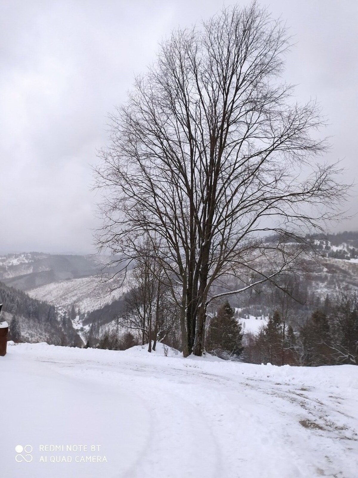 Rekreačný pozemky v nádhernej lokalite Oščadnica U Haladeji — foto 3