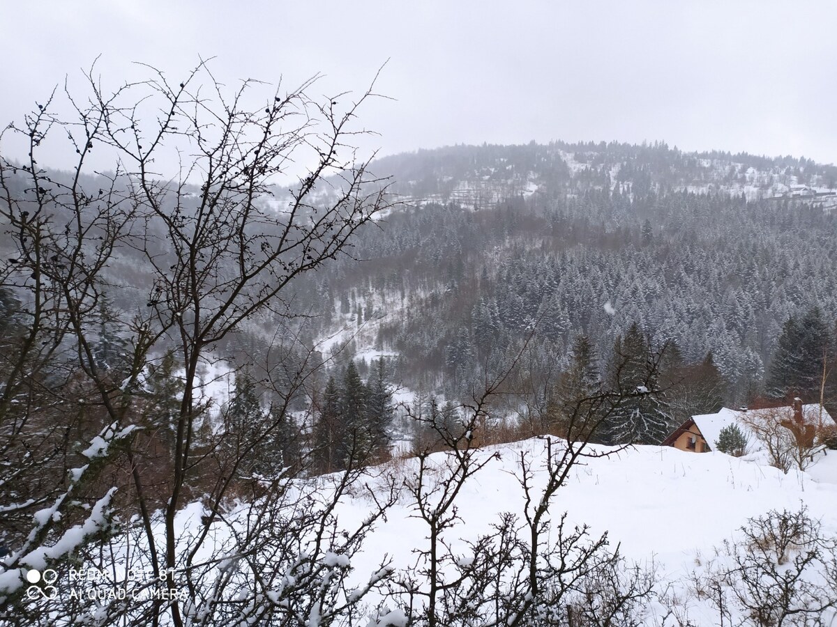 Rekreačný pozemky v nádhernej lokalite Oščadnica U Haladeji — foto 4