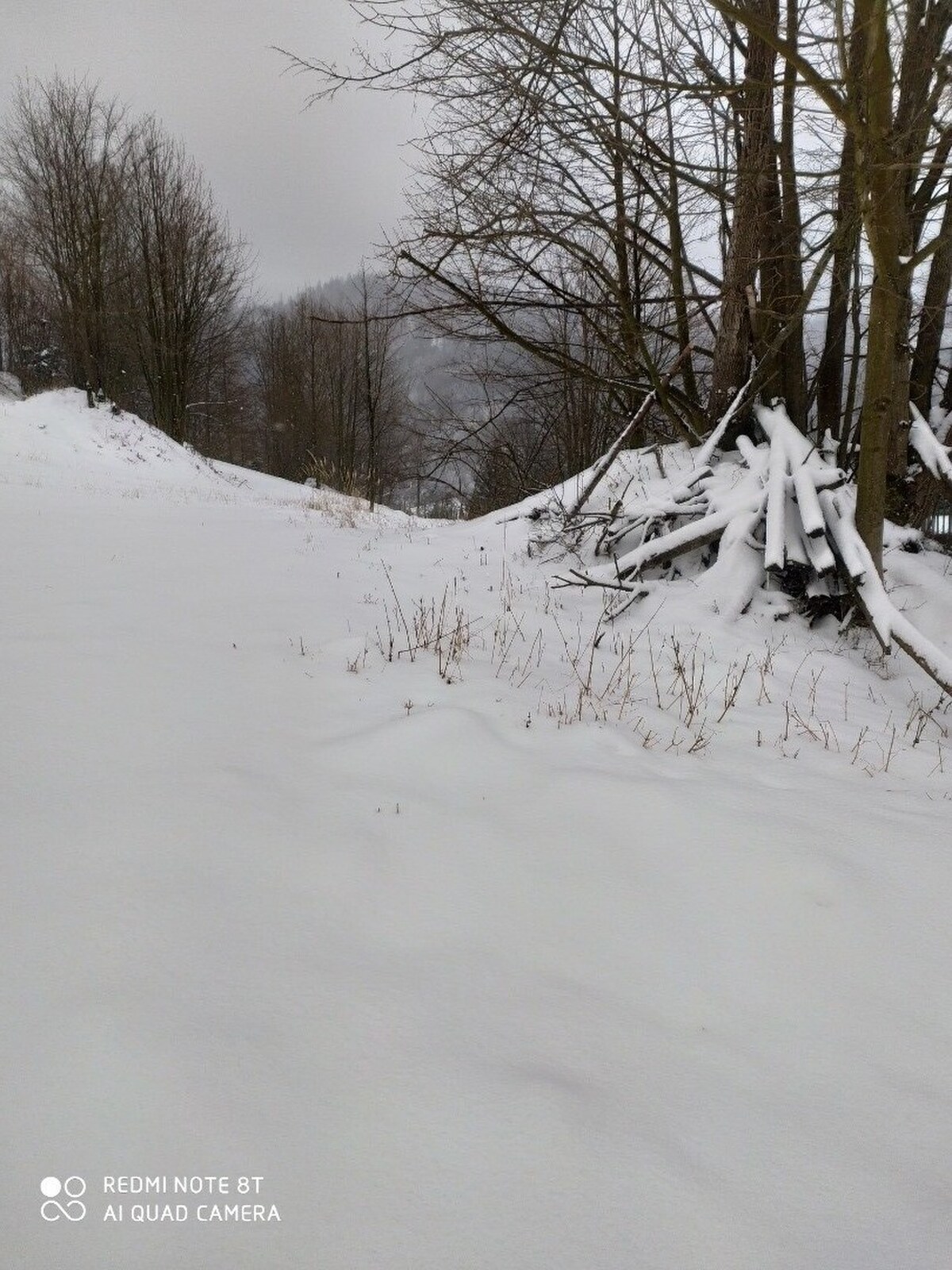 Rekreačný pozemky v nádhernej lokalite Oščadnica U Haladeji — foto 5