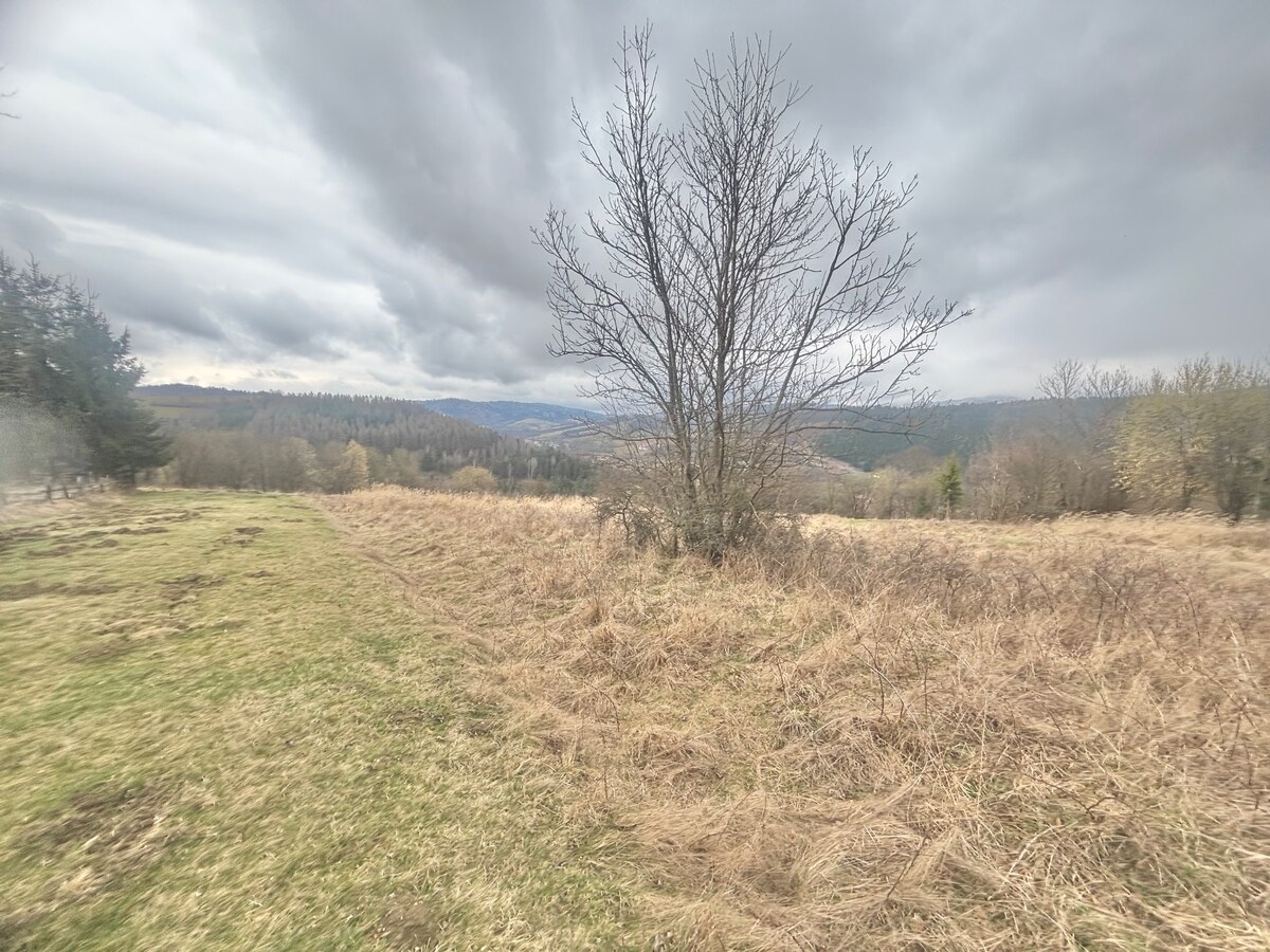 Predaj rekreačného pozemku s výhľadom Krásno nad Kysucou (MO) — foto 3