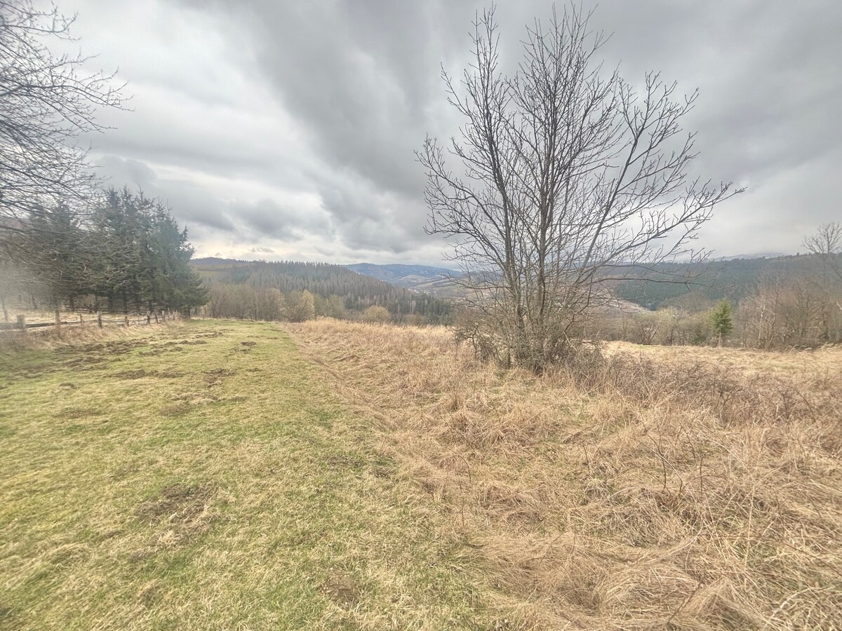 Predaj rekreačného pozemku s výhľadom Krásno nad Kysucou (MO) — foto 4