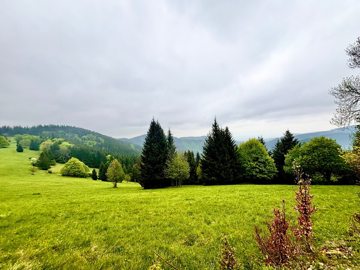 Investičné pozemky v krásnej lokalite Makov — foto 3