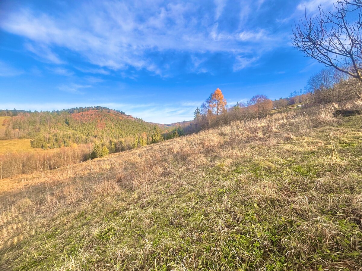 Predaj nádhernej usadlosti súboru a obrovských pozemkov v Oščadnici — foto 13