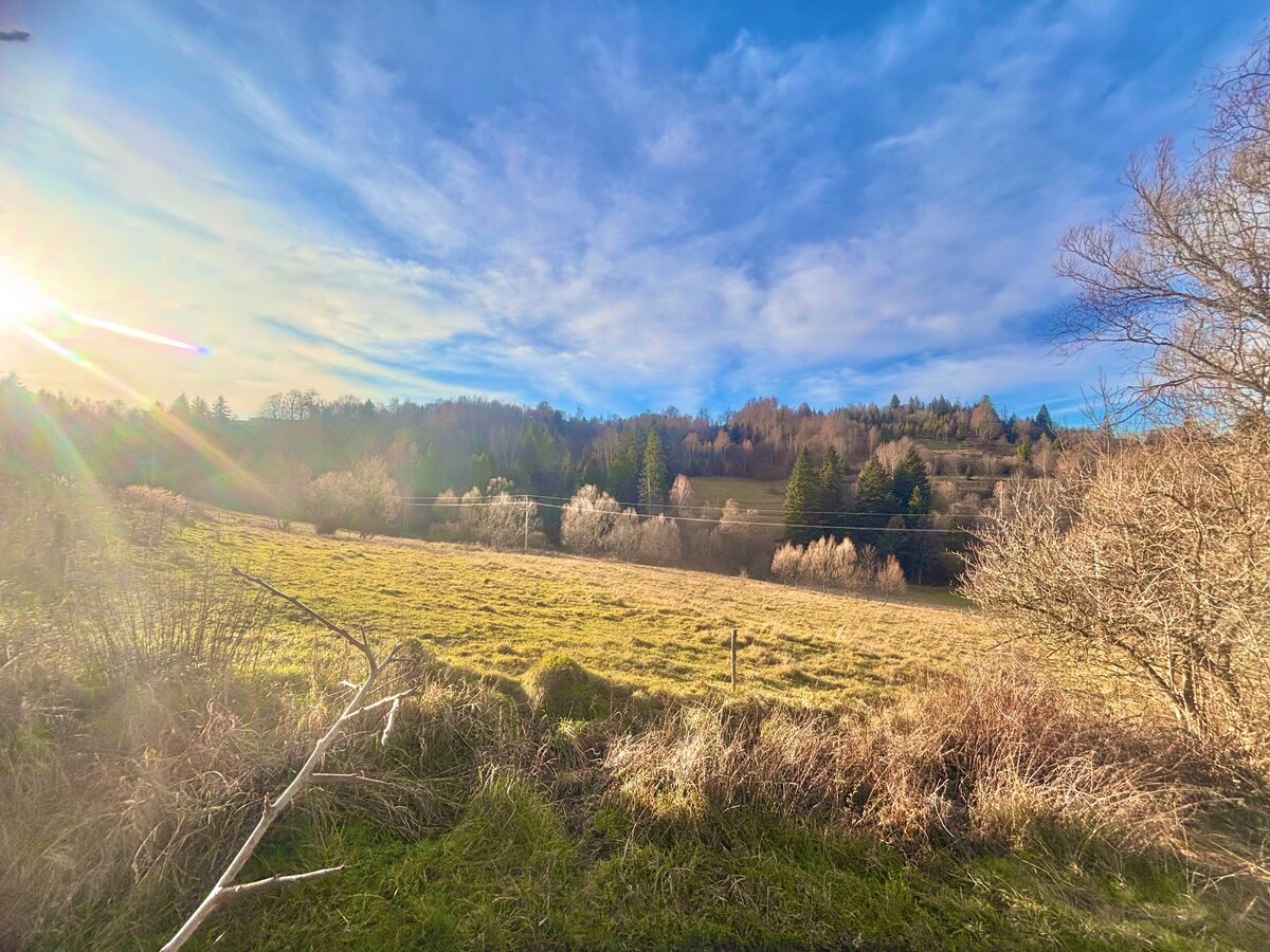 Predaj nádhernej usadlosti súboru a obrovských pozemkov v Oščadnici — foto 5