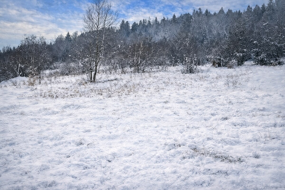 Predaj súboru dvoch pozemkov Oščadnica- Zádedová