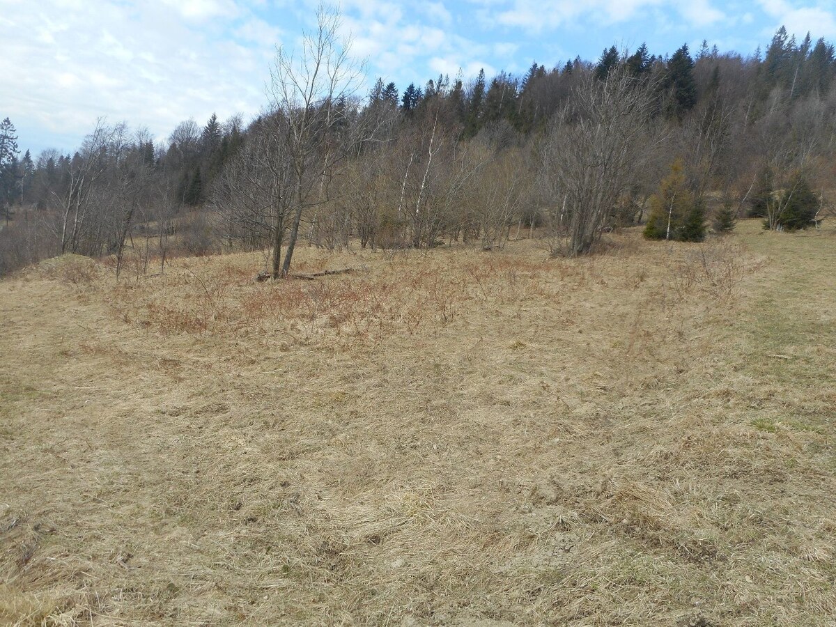 Predaj súboru dvoch pozemkov Oščadnica- Zádedová — foto 2