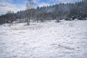 Predaj súboru dvoch pozemkov Oščadnica- Zádedová — foto 1