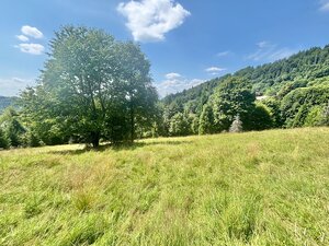 Predaj pozemku pri lyžiarskom stredisku v intraviláne Oščadnica — foto 3
