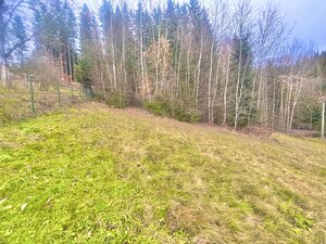 Nádherný pozemok na výstavbu domu, chaty Milošová — foto 3