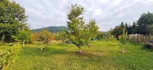Predaj: Stavebný pozemok 680m2 v Kysuckom Novom Meste (SŠ) — foto 5