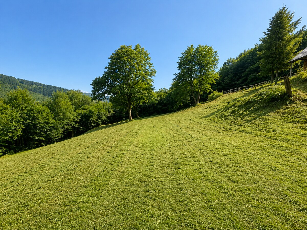Predaj pozemku určeného na výstavbu Krásno nad Kysucou