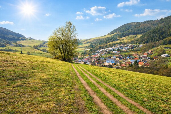 Predaj: Pozemok orná pôda 4859m2 v Kotrčinej Lúčke (MO)