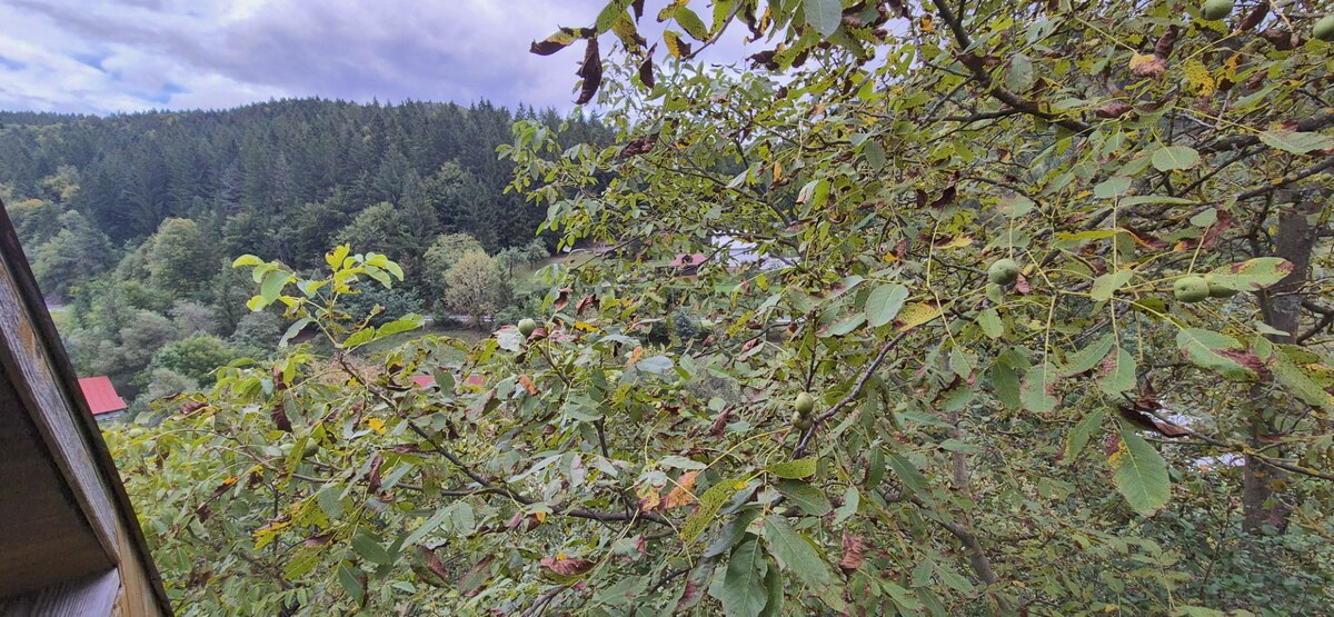 Predaj: Drevenica na kamenných základoch v Kolároviciach pri Bytči (MO — foto 18