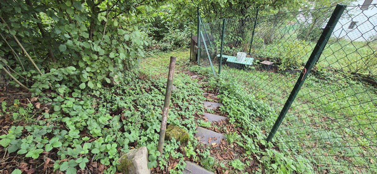 Predaj: Drevenica na kamenných základoch v Kolároviciach pri Bytči (MO — foto 19