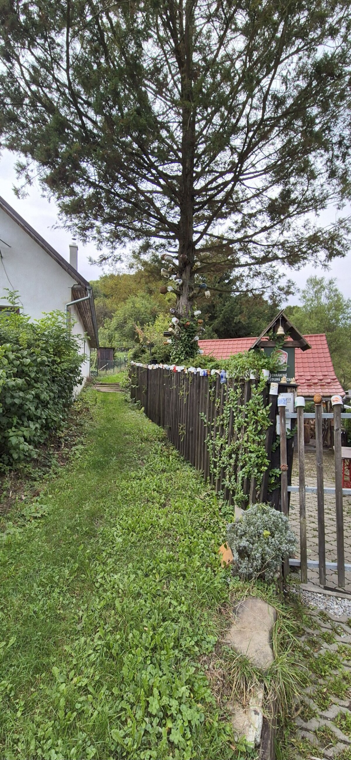 Predaj: Drevenica na kamenných základoch v Kolároviciach pri Bytči (MO — foto 20