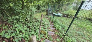 Predaj: Drevenica na kamenných základoch v Kolároviciach pri Bytči (MO — foto 19