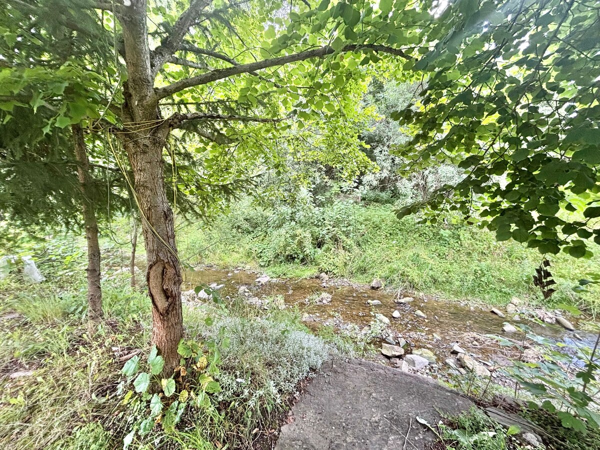 Predaj pôvodného charizmatického domu v Makove — foto 6