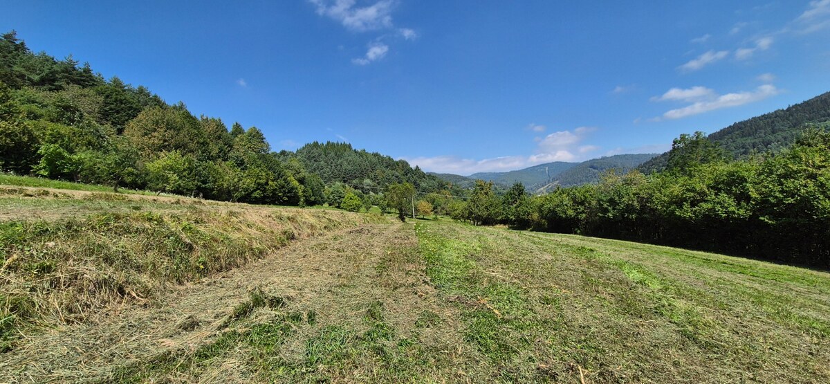 Predaj: Stavebné pozemky 5909m2 v Nesluši vhodné pre developera (SŠ) — foto 11