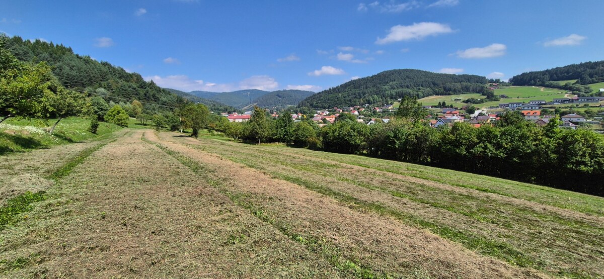 Predaj: Stavebné pozemky 5909m2 v Nesluši vhodné pre developera (SŠ) — foto 3