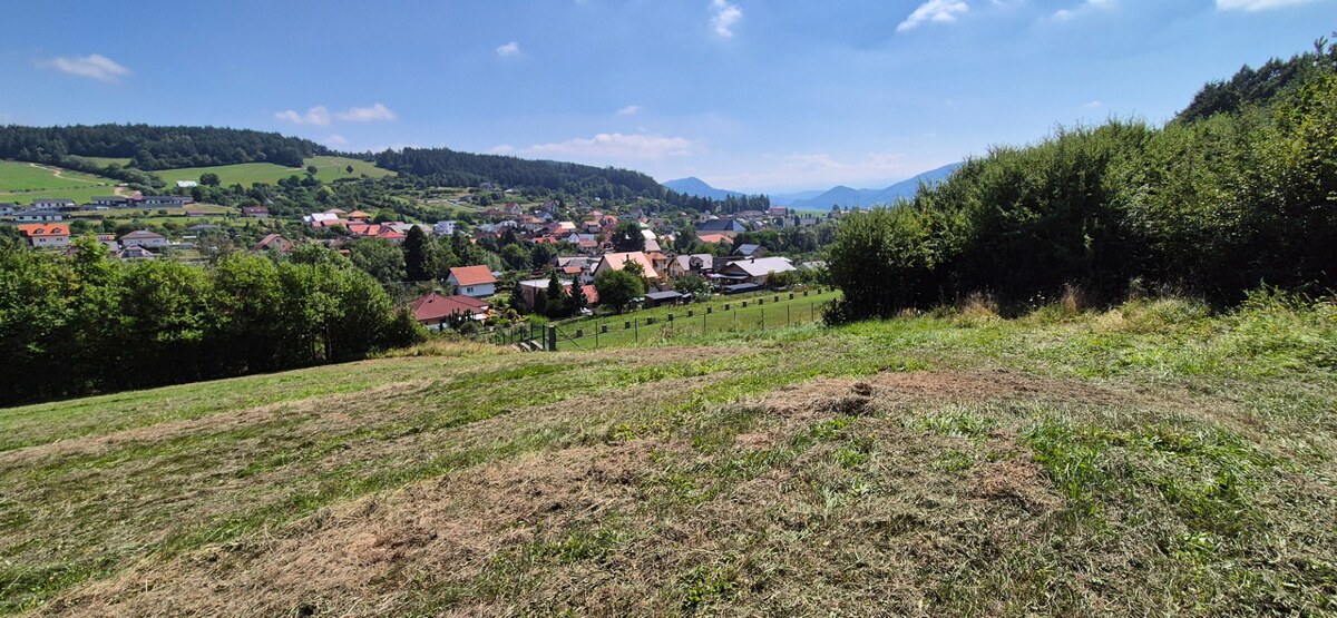 Predaj: Stavebné pozemky 5909m2 v Nesluši vhodné pre developera (SŠ) — foto 4