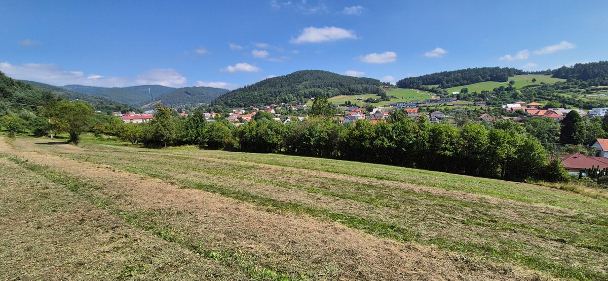 Predaj: Stavebné pozemky 5909m2 v Nesluši vhodné pre developera (SŠ) — foto 5