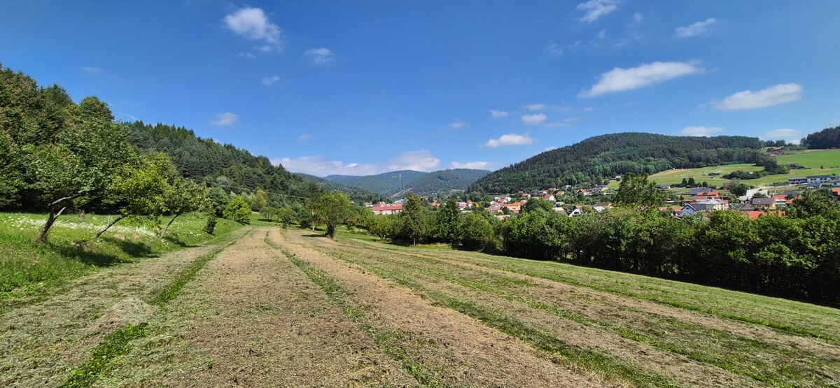 Predaj: Stavebné pozemky 5909m2 v Nesluši vhodné pre developera (SŠ) — foto 6