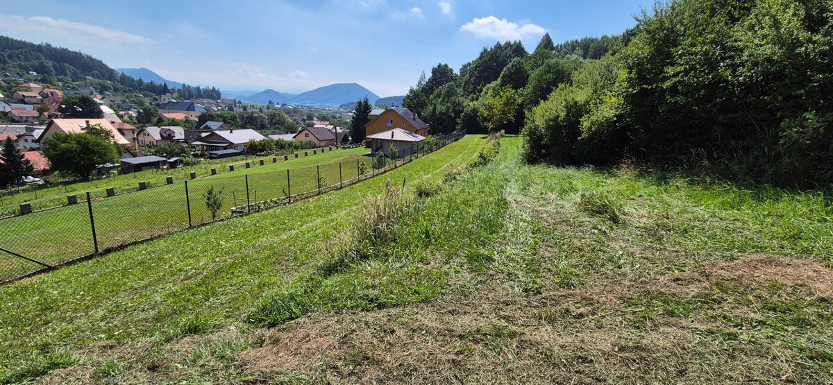 Predaj: Stavebné pozemky 5909m2 v Nesluši vhodné pre developera (SŠ) — foto 9