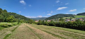 Predaj: Stavebné pozemky 5909m2 v Nesluši vhodné pre developera (SŠ) — foto 7