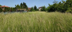 Na predaj pozemky na výstavbu RD v Bernolákove — foto 1