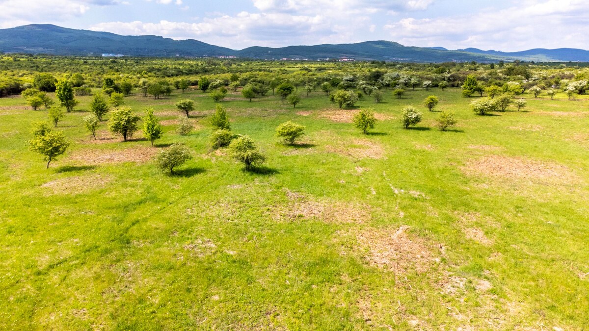 Pozemok v Modre s výmerou až 5.666 m2