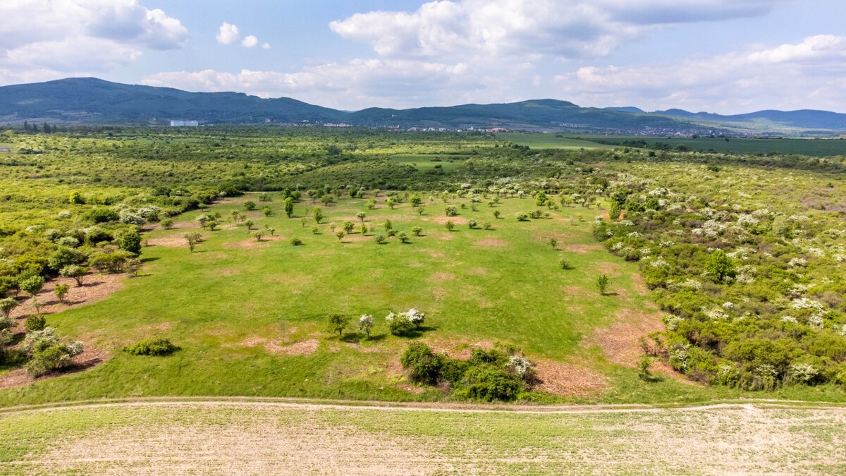 Pozemok v Modre s výmerou až 5.666 m2 — foto 3