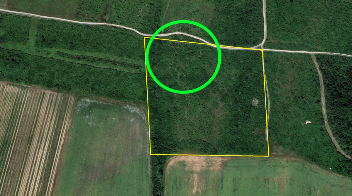 Pozemok v Modre s výmerou až 5.666 m2 — foto 6