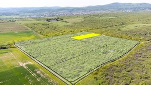 Pozemok v Modre s výmerou až 5.666 m2 — foto 2