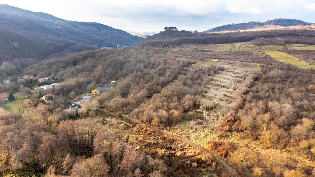Stavebné pozemky 11 558 m² v atraktívnej lokalite Častá – Píla — foto 4