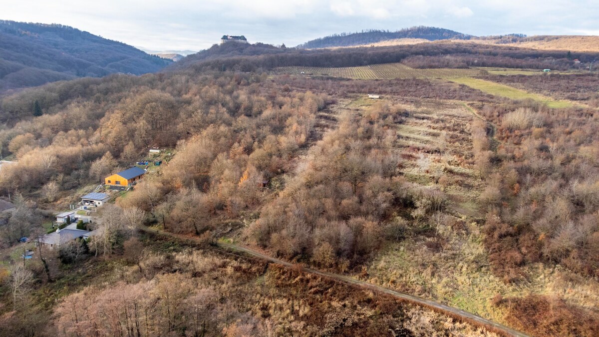Stavebné pozemky 11 558 m² v atraktívnej lokalite Častá – Píla — foto 5