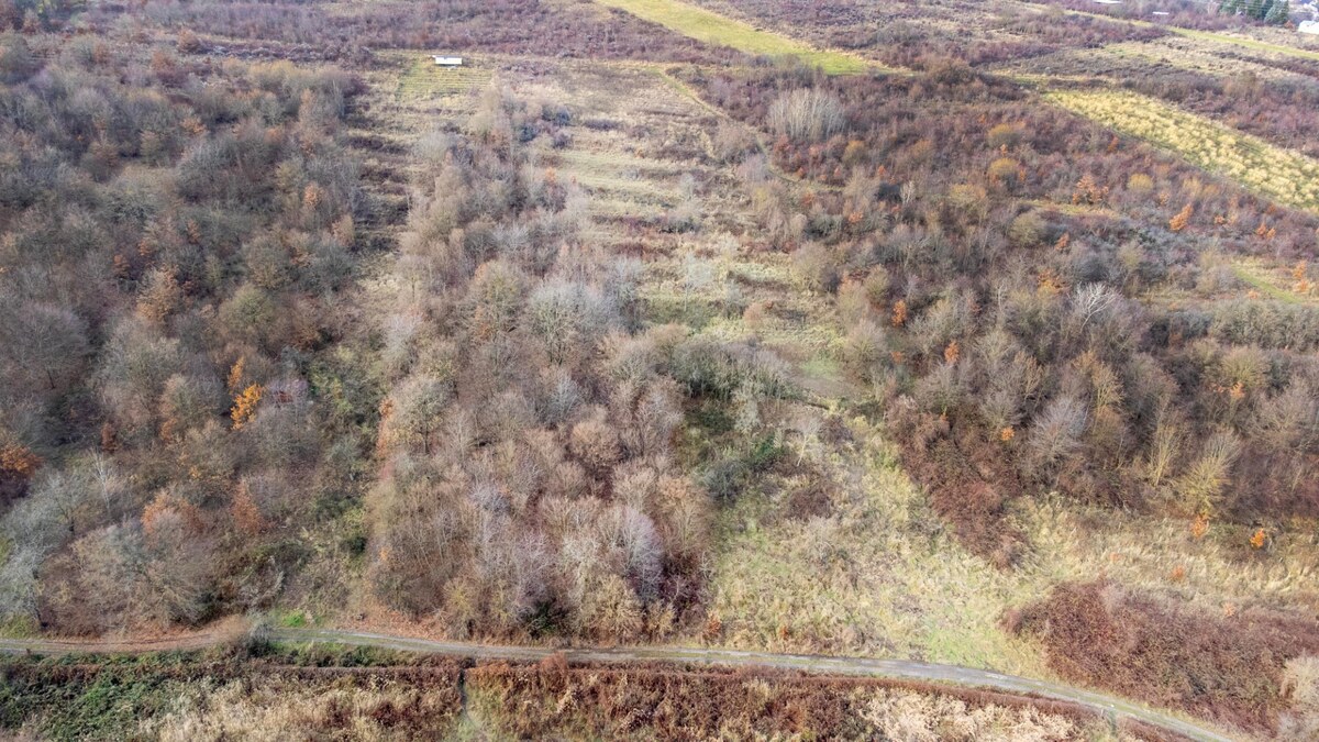 Stavebné pozemky 11 558 m² v atraktívnej lokalite Častá – Píla — foto 6