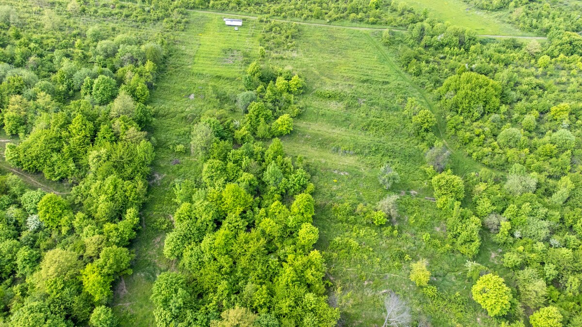 Stavebné pozemky 11 558 m² v atraktívnej lokalite Častá – Píla — foto 7