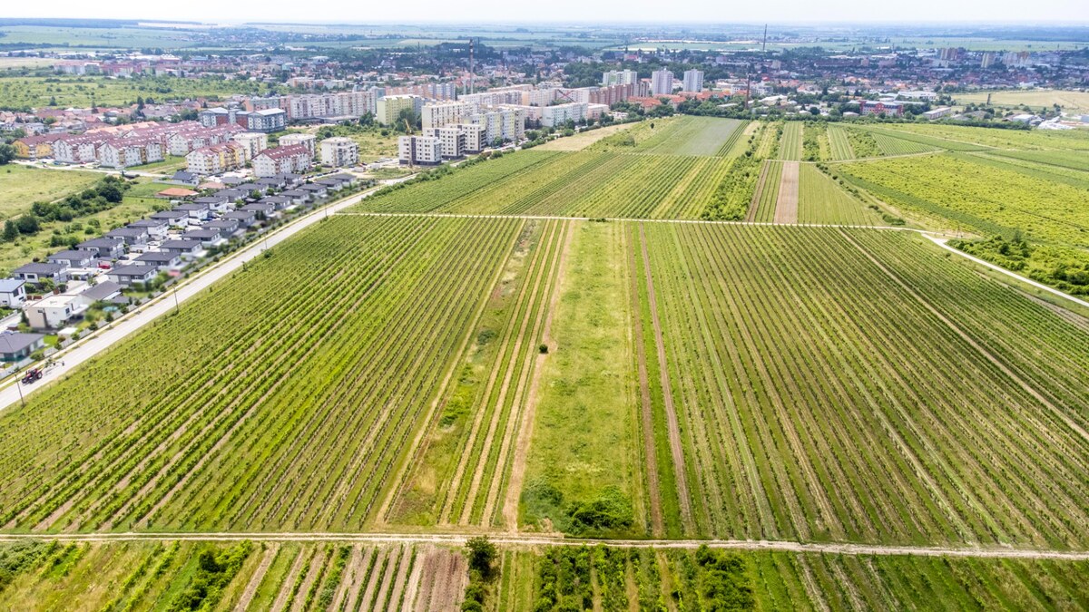 Pozemok v Pezinku s výmerou až 5190 m2