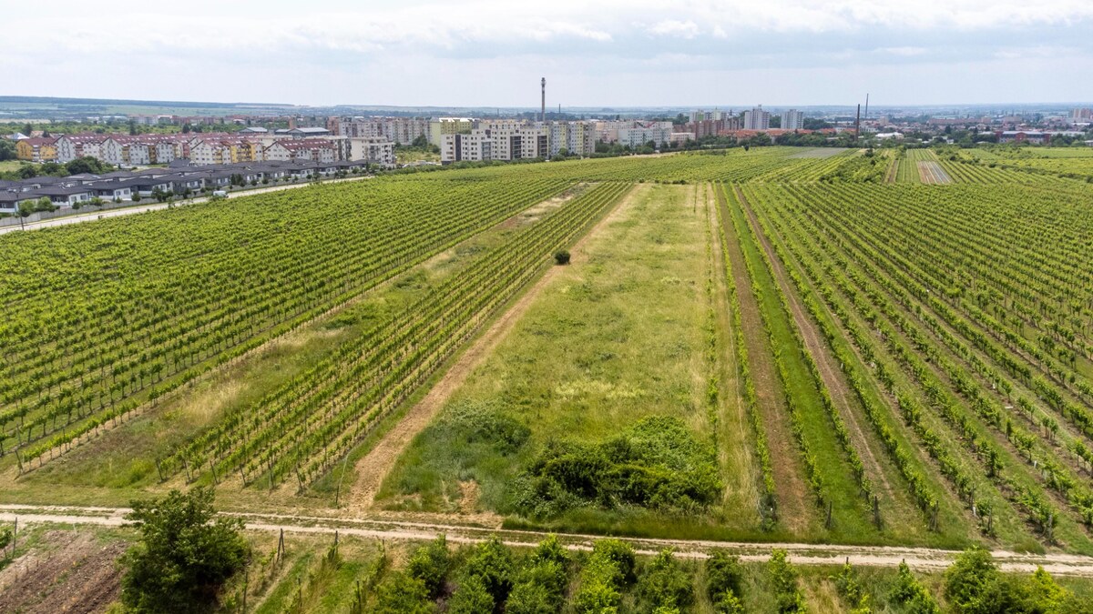 Pozemok v Pezinku s výmerou až 5190 m2 — foto 3